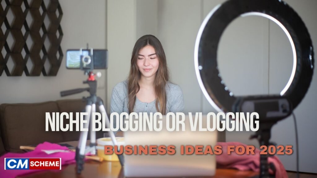 Niche Blogging or Vlogging